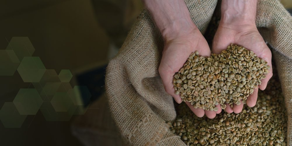 Product-banner-robusta