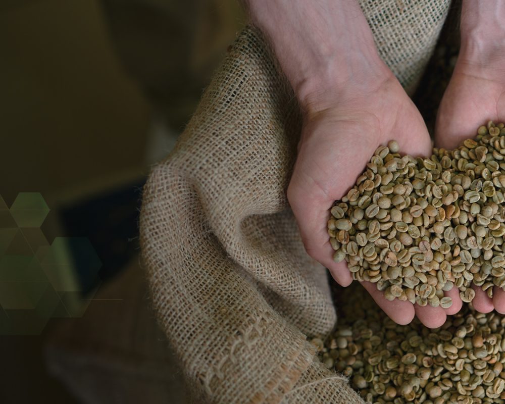 Product-banner-robusta